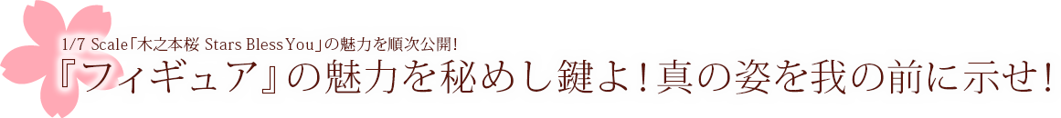 『フィギュア』の魅力を秘めし鍵よ！真の姿を我の前に示せ！