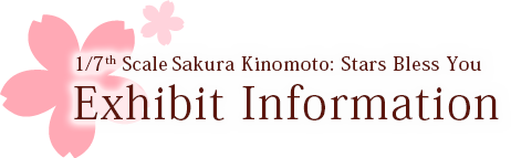 Exhibit Information